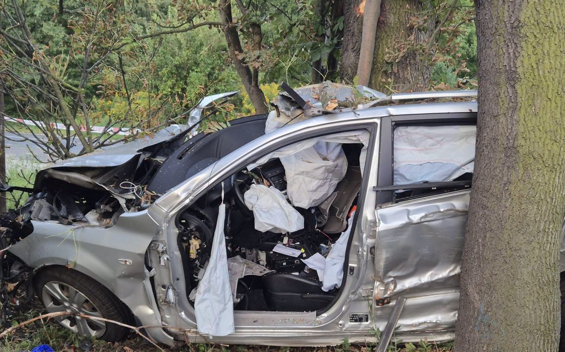 Tragiczny wypadek nad ranem. Kierowca zginął po uderzeniu w drzewo Tragiczny wypadek nad ranem. Kierowca zginął po uderzeniu w drzewo