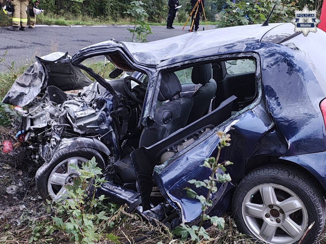 Tragiczny wypadek w Mikołowie. Po uderzeniu w drzewo renault spłonęło, kierowca zginął na miejscu