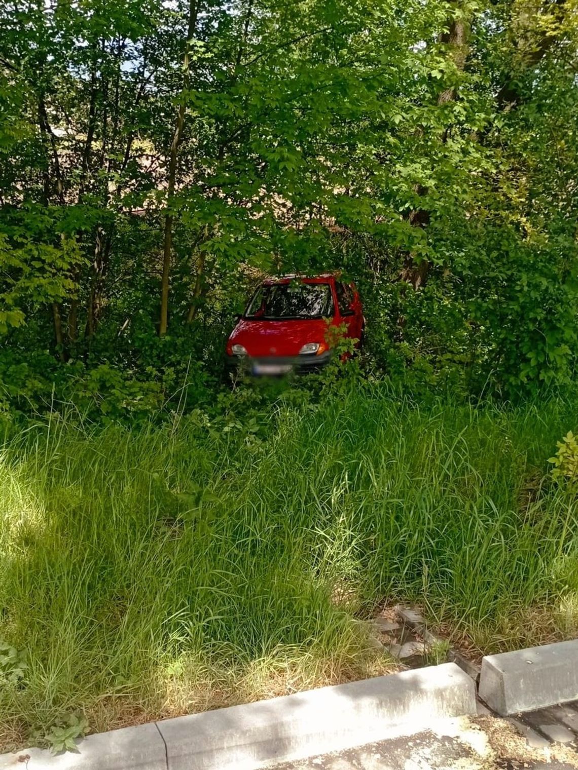 Trzasnął drzwiami i poszedł, fiacik stoczył się w krzaki. Mężczyzna był przekonany, że ktoś mu go ukradł
