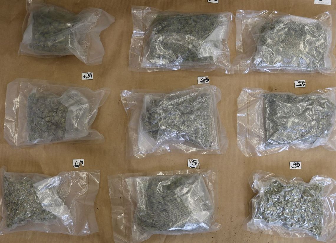 Trzej młodzi mężczyźni rozkręcali narkobiznes. Po akcji policji cała ekipa trafiła do aresztu