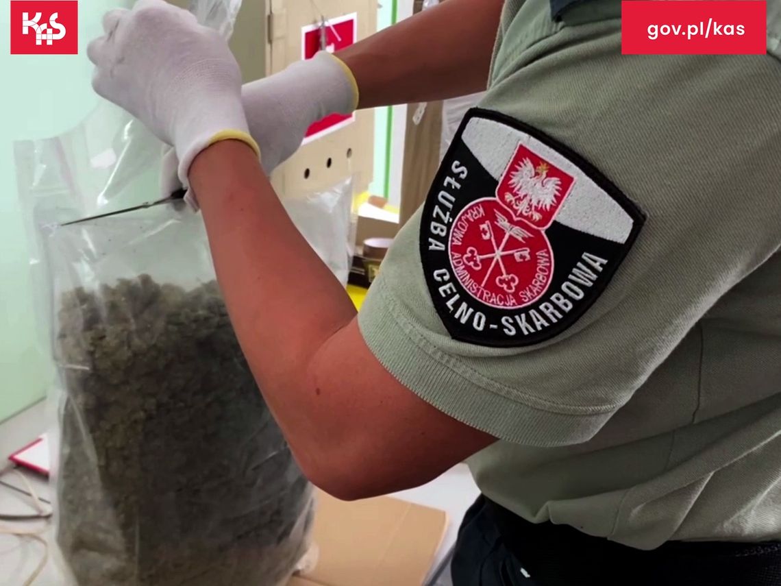 Trzy kilogramy marihuany, kokaina i sterydy w przesyłkach kurierskich. Skarbówka udaremniła przemyt