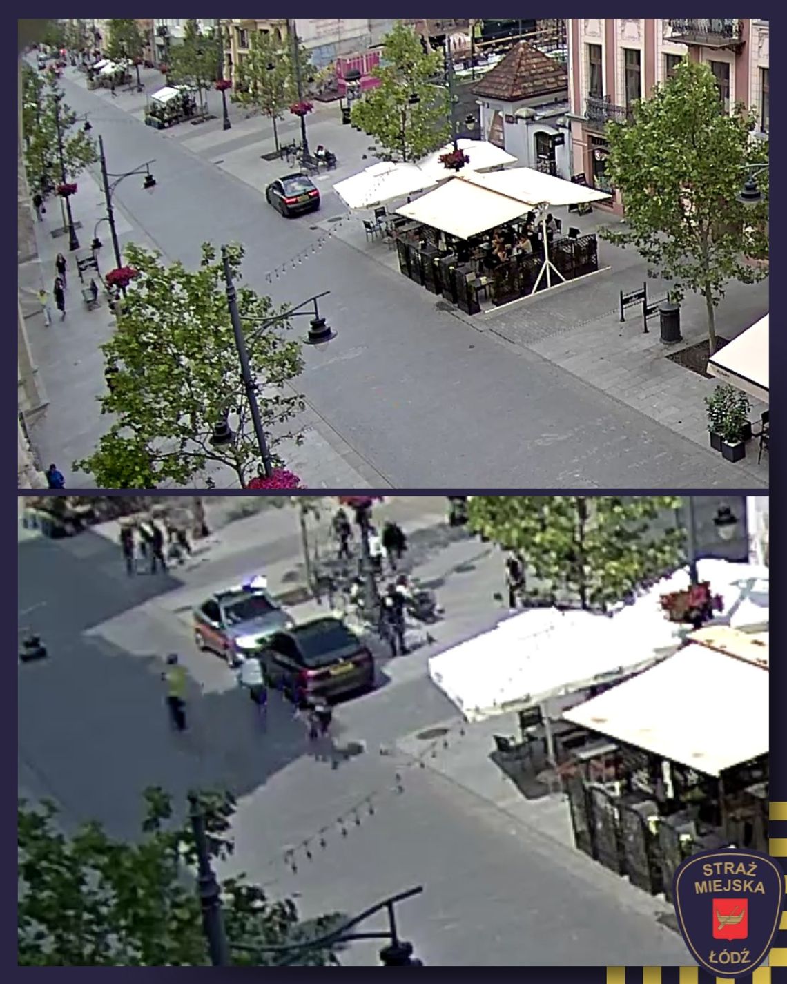 "Tylko psy mogą mnie sprawdzać". Kierowca BMW wjechał na deptak i stawiał się straży miejskiej