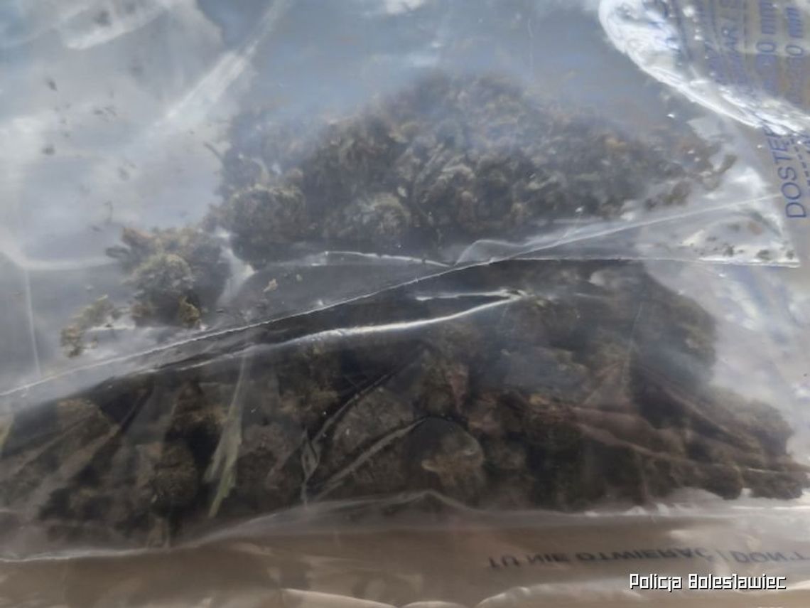 Tylko zobaczył policjantów i rzucił się do ucieczki. Policjanci zatrzymali 39-latka z marihuaną Tylko zobaczył policjantów i rzucił się do ucieczki. Policjanci zatrzymali 39-latka z marihuaną
