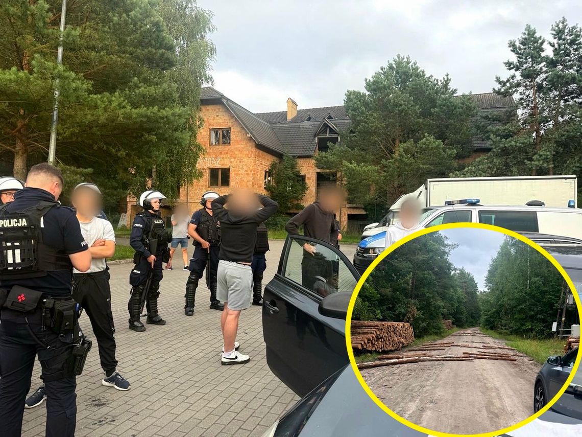 Udaremniona leśna ustawka kiboli. Uciekając przed policją chuligani blokowali drogę kłodami drzew