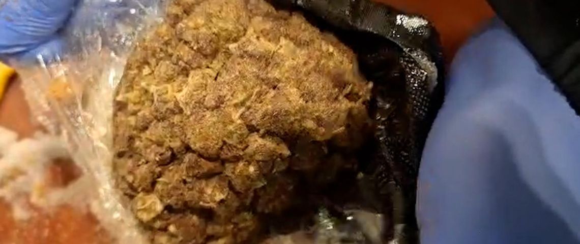 Udaremniony przemyt 47 kg marihuany. Narkotyki z Tajlandii ukryto w puszkach z owocami [WIDEO]