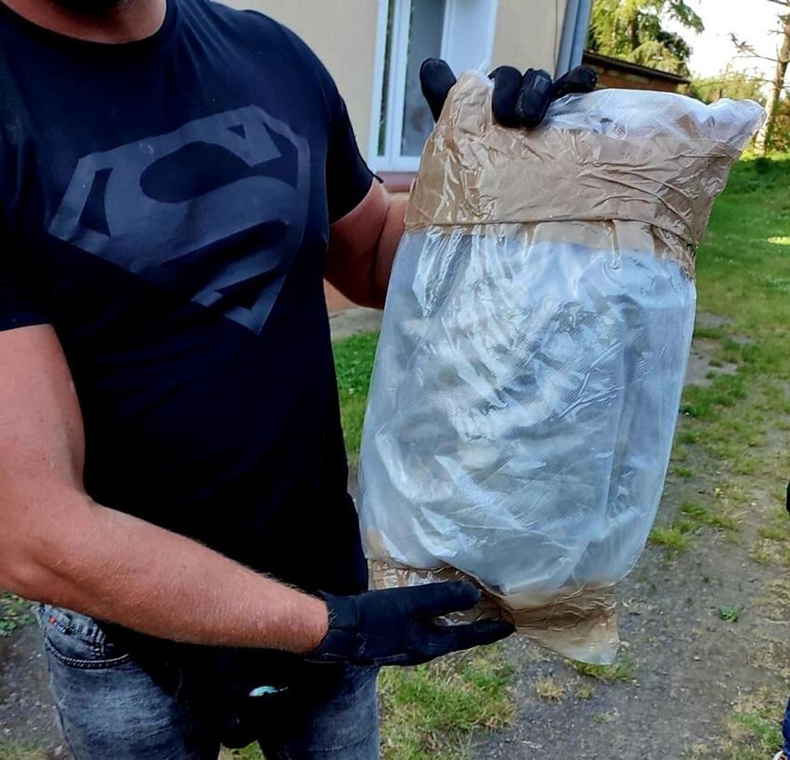 Udostępnili znajomemu strych, pewnego dnia zapukała policja. Okazało się, że chował tam narkotyki