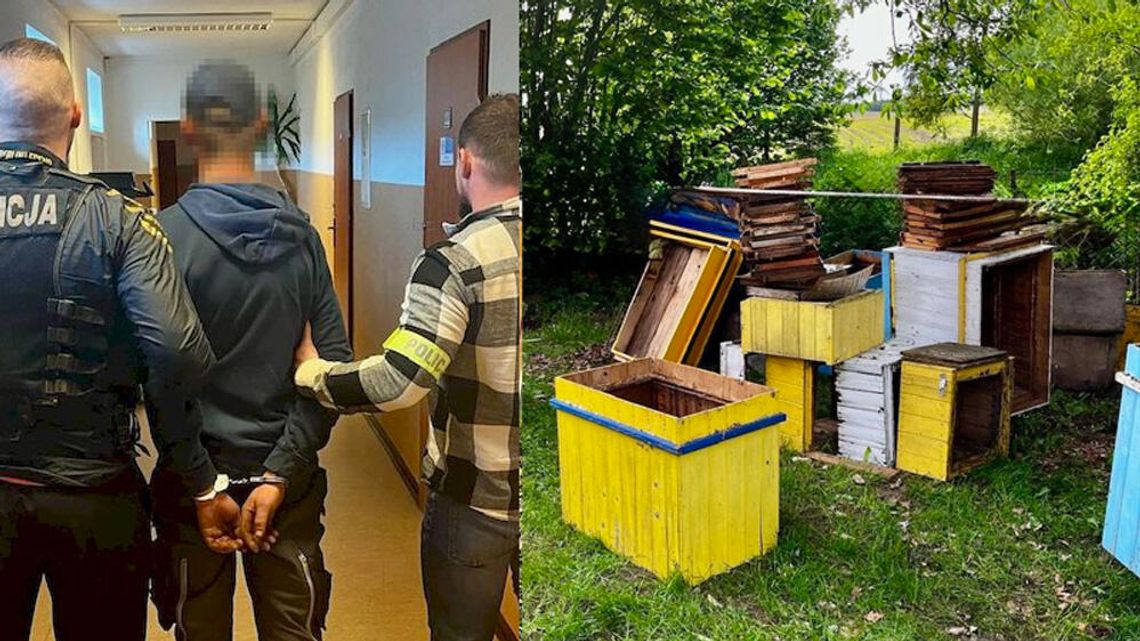 Ukradli 19 uli razem z pszczołami i miodem. Sprawcy zatrzymani