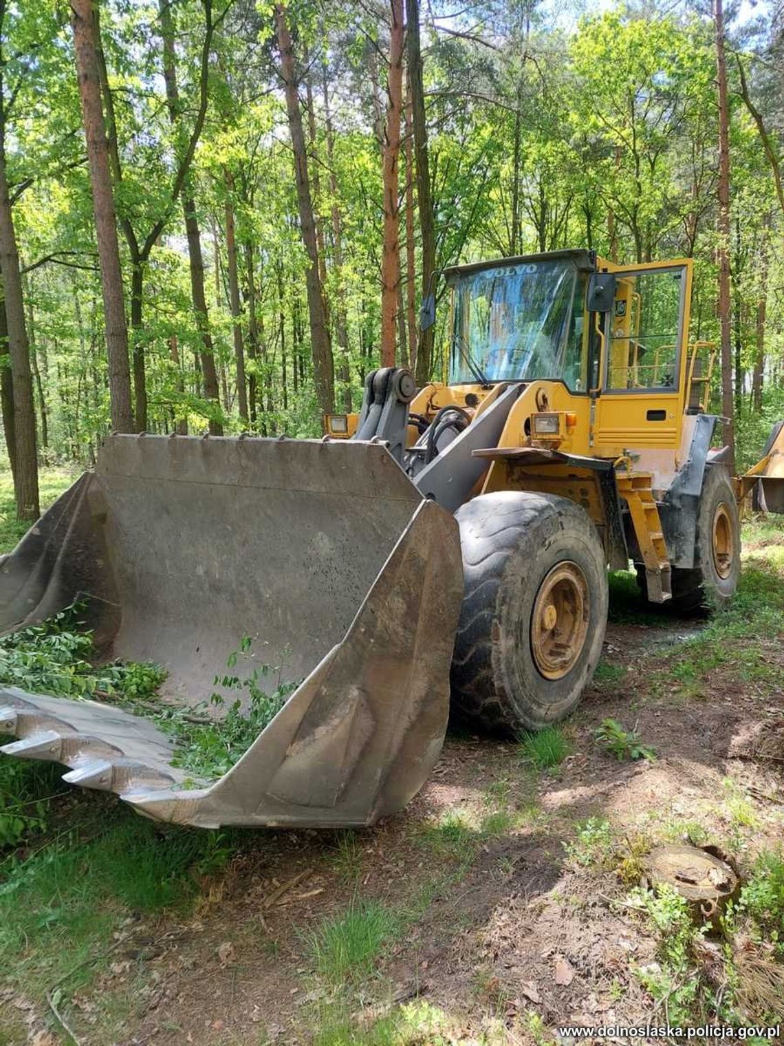 Ukradli koparko-ładowarką wartą 150 tys. zł, ale podczas ucieczki zabrakło im paliwa. Policja znalazła ich w lesie