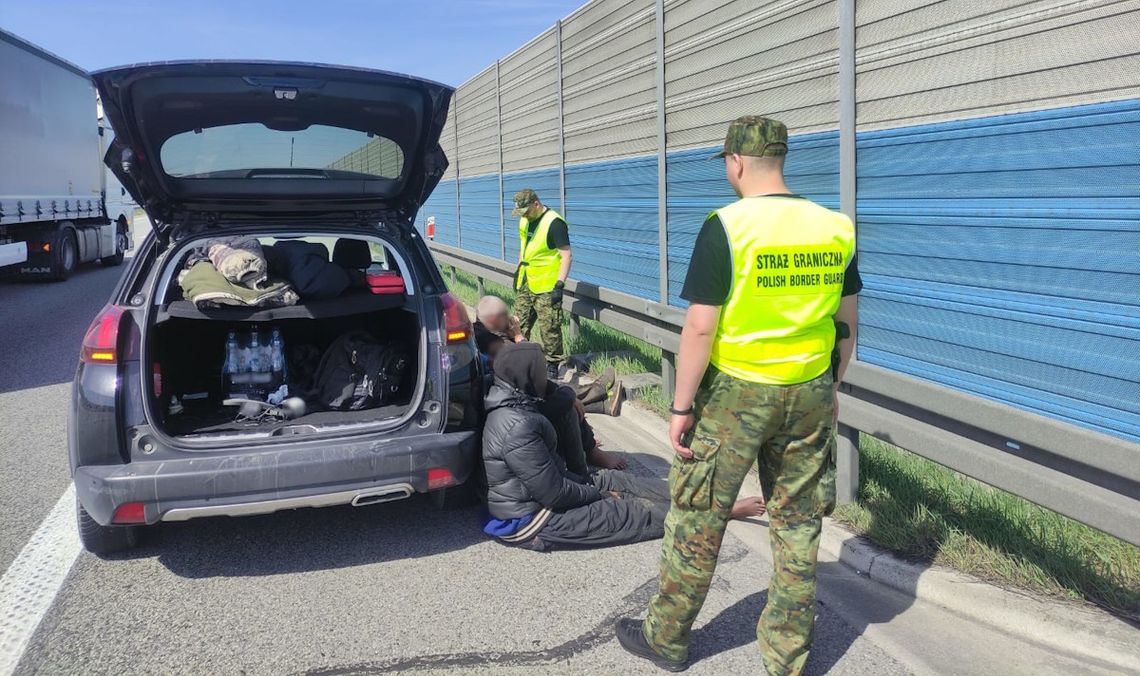 Ukrainiec wiózł pięcioro nielegalnych imigrantów z Afryki. Zatrzymali ich na autostradzie