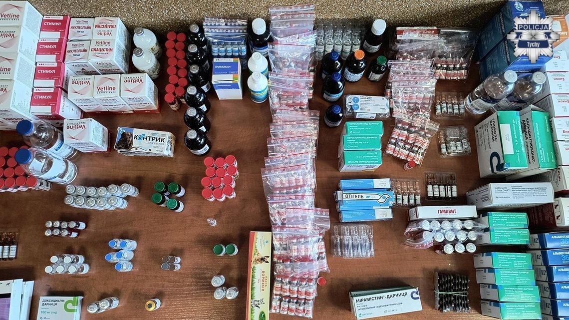 Ukraińskie leki dla ludzi sprzedawał jako preparaty dla zwierząt. 31-latek zatrzymany przez policję Ukraińskie leki dla ludzi sprzedawał jako preparaty dla zwierząt. 31-latek zatrzymany przez policję