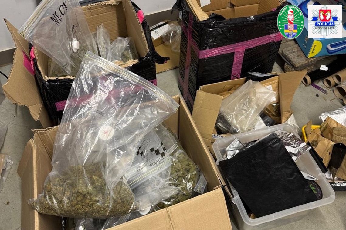 Ukrywał 17 kilogramów narkotyków w magazynie firmowym. Myślał, że tam nikt nie będzie szukał Ukrywał 17 kilogramów narkotyków w magazynie firmowym. Myślał, że tam nikt nie będzie szukał