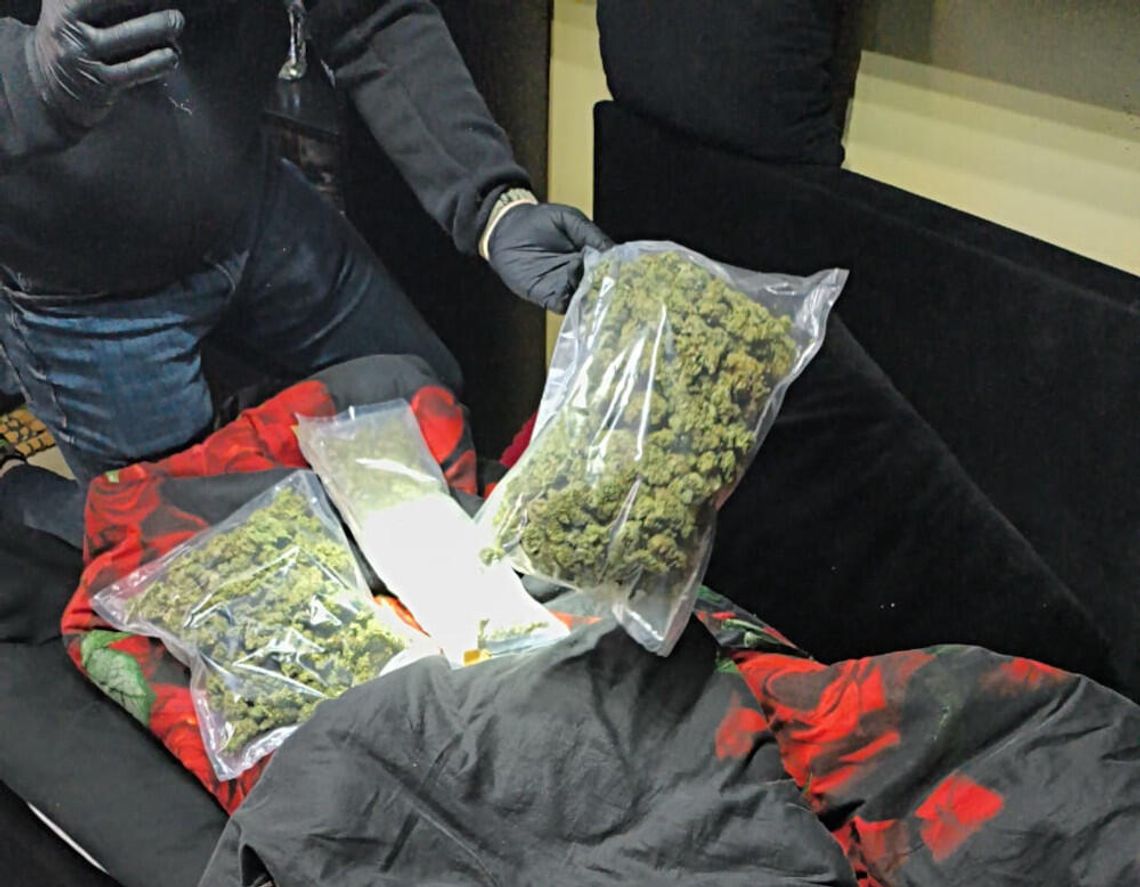 Ukrywał pół kilo marihuany i mefedron w... łóżku. Policjanci zatrzymali 38-letniego mężczyznę