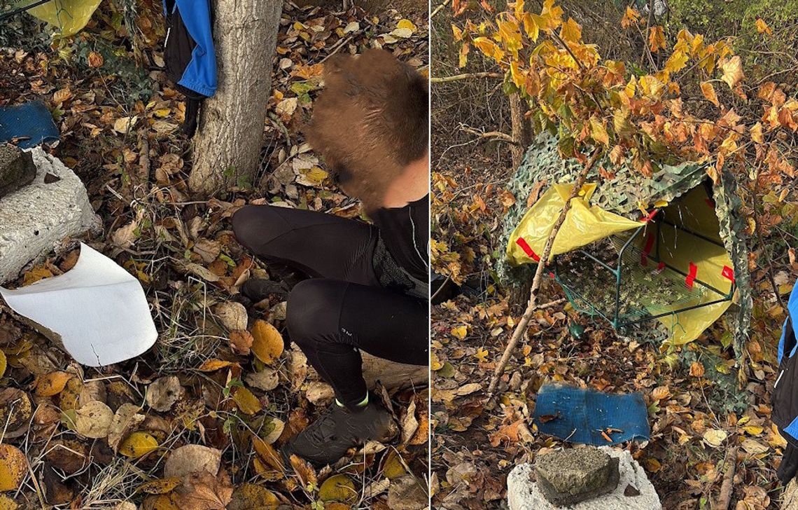 Uprawiał konopie w lesie i suszył je w prowizorycznej szklarni. W dwa dni wpadł dwukrotnie Uprawiał konopie w lesie i suszył je w prowizorycznej szklarni. W dwa dni wpadł dwukrotnie