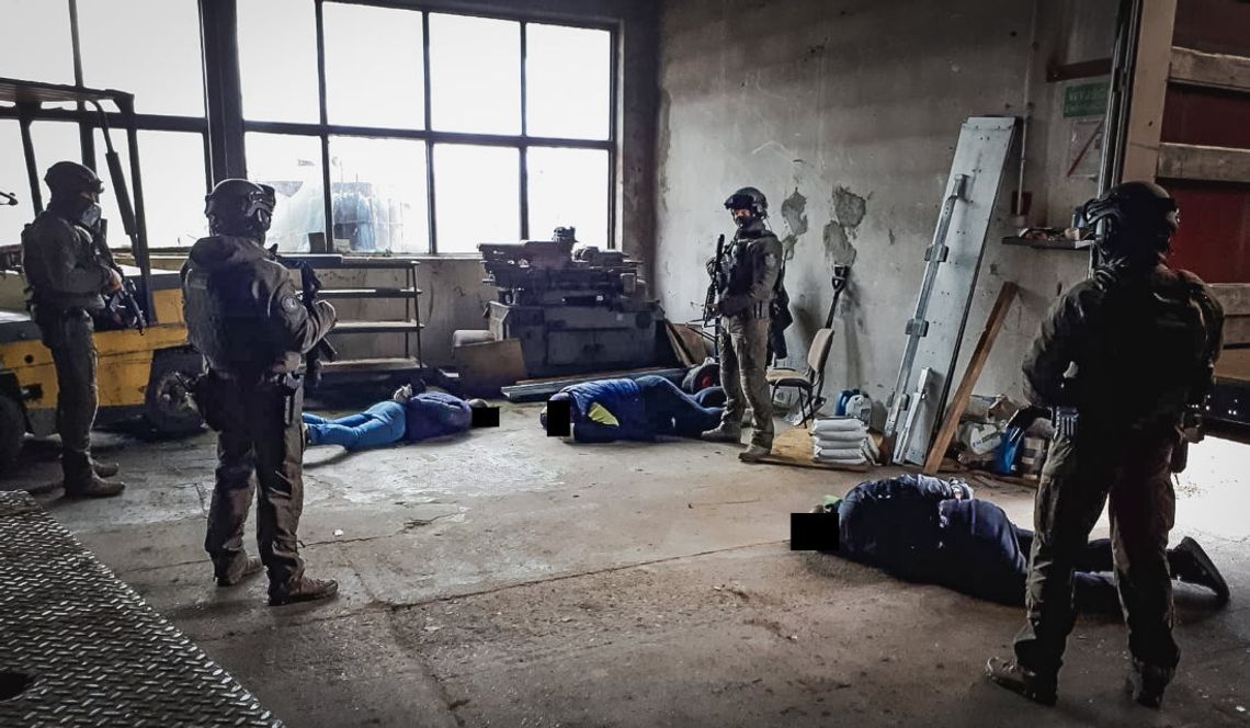 Uprawiali marihuanę i handlowali lewym tytoniem. CBŚP rozbiło grupę przestępczą [WIDEO, FOTO]