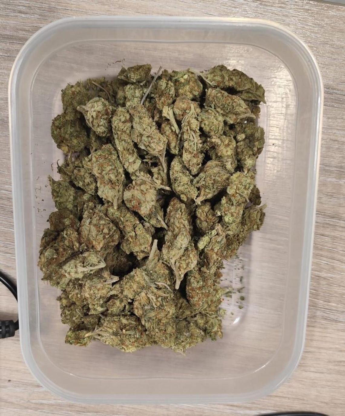 Urządził awanturę przed schroniskiem dla zwierząt. Ratownicy medyczni znaleźli przy nim marihuanę