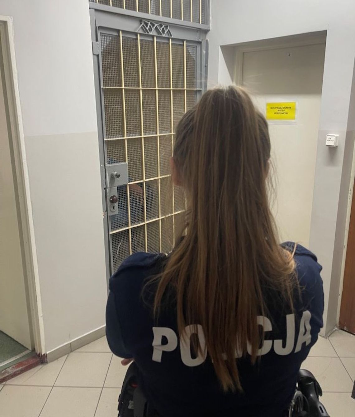 Uszkodził radiowóz, znieważył policjantów i próbował im uciec. Chciał schować się na posterunku
