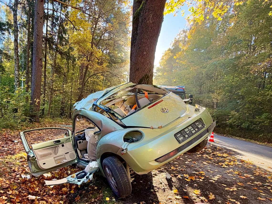 Volkswagen roztrzaskał się o drzewo. Kierowca zginął na miejscu Volkswagen roztrzaskał się o drzewo. Kierowca zginął na miejscu