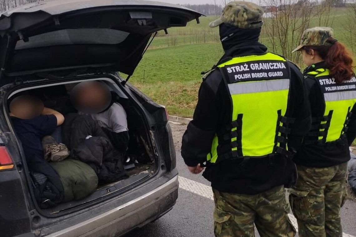 W aucie osobowym przewoził 8 Afgańczyków. Kurier nielegalnych imigrantów zatrzymany po pościgu