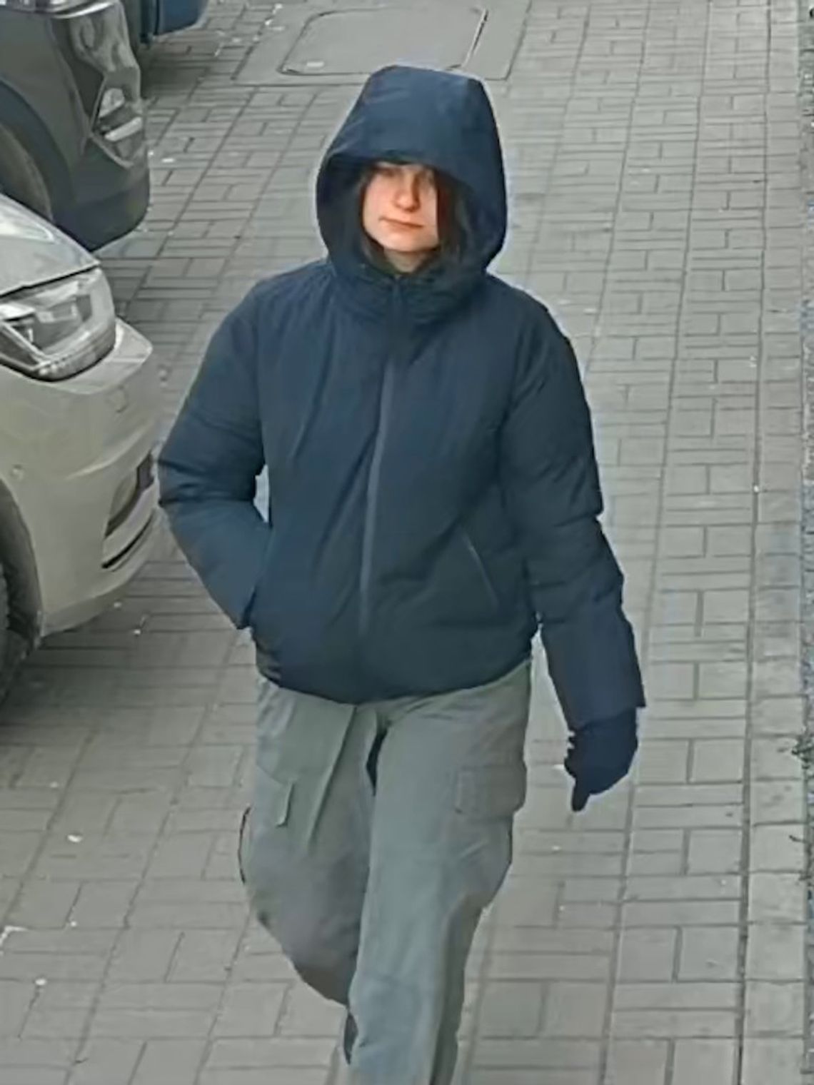 W biały dzień dźgnęła nożem 77-latkę. Policjanci publikują wizerunek młodej kobiety i proszą o pomoc