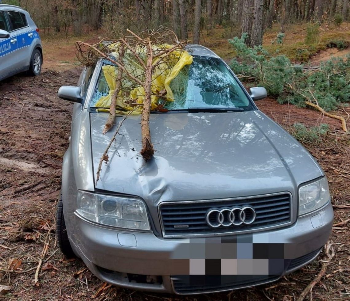 W Boże Narodzenie śmiertelnie potrącił 22-latka na pasach i ukrył auto w lesie