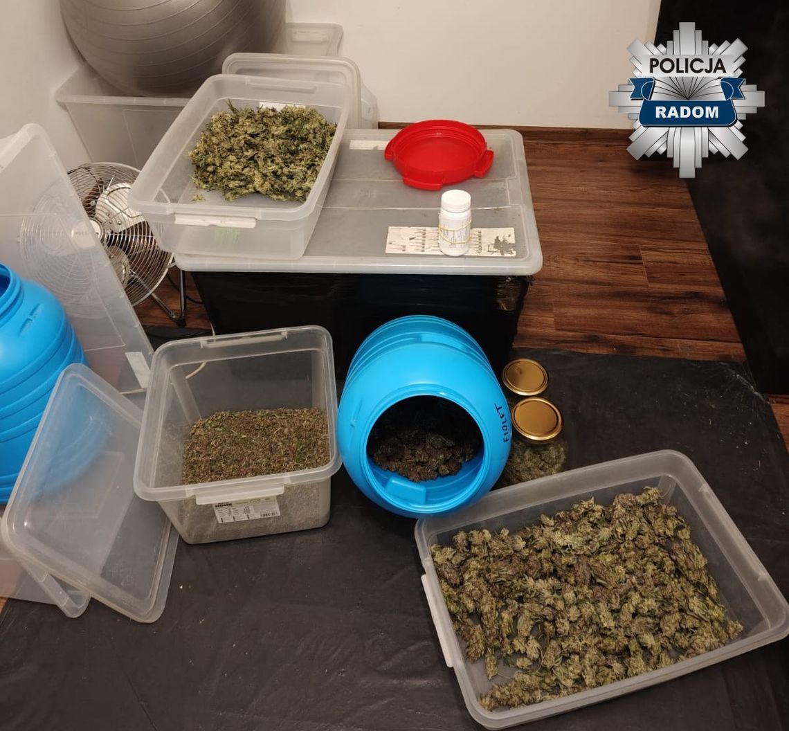 W mieszkaniu trzymał dwa kilogramy marihuany. Folia wisząca w drzwiach miała zatrzymać jej zapach