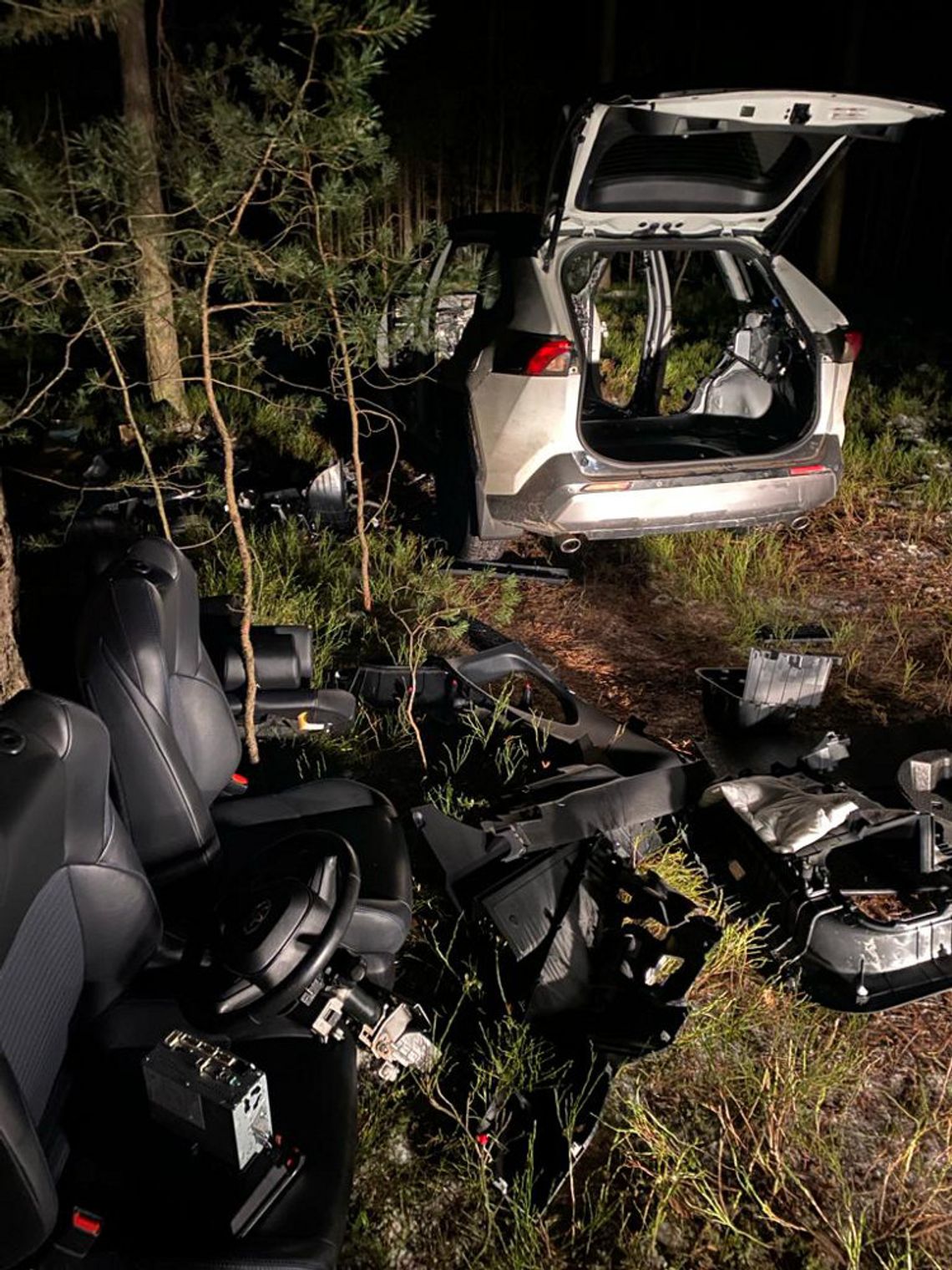 W środku lasu paser rozmontowywał auto na części. Kilka dni wcześniej toyota została skradziona w Holandii