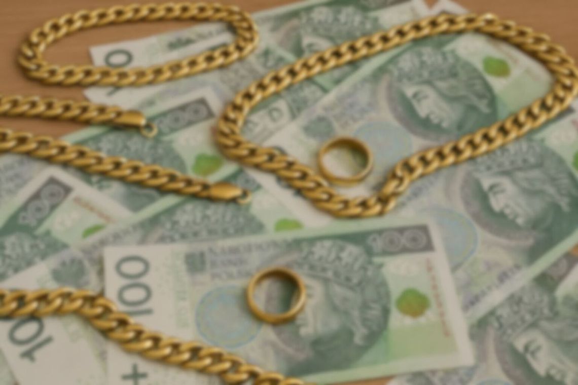 Wchodzili na cudze posesje i je okradali. Policjanci zatrzymali dwóch obywateli Ukrainy