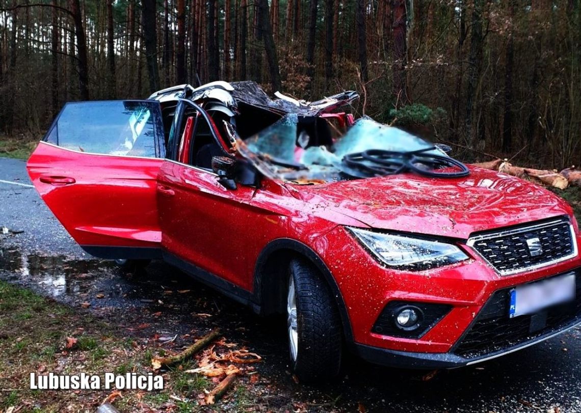 Wichura przewróciła drzewo na jadące auto. Kierowca zginął na miejscu