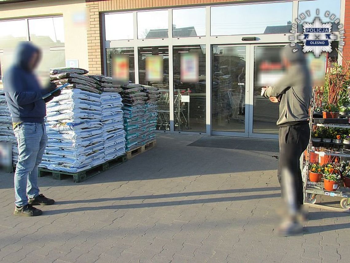 Włamał się do sklepu, spadł z regału i nic nie ukradł. Złodziej-fajtłapa wpadł po kilku godzinach