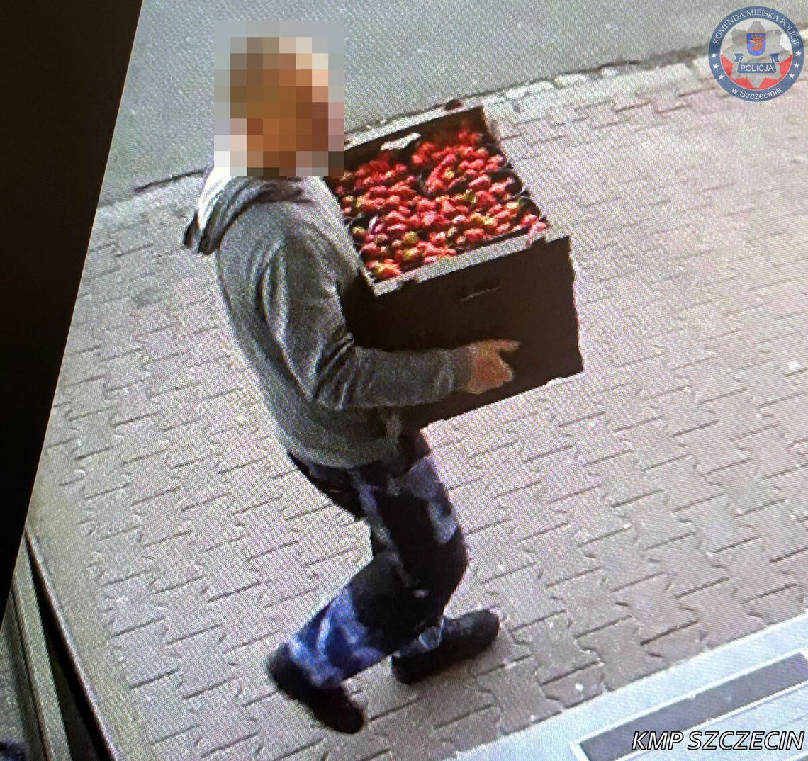 Włamanie, zniszczony lokal i truskawki za 400 zł. Dwaj mężczyźni pod dozorem policji Włamanie, zniszczony lokal i truskawki za 400 zł. Dwaj mężczyźni pod dozorem policji