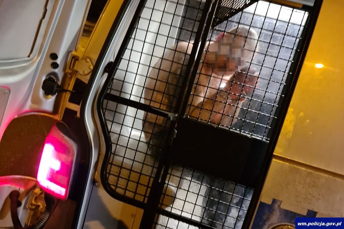 Włamywacze złapani na gorącym uczynku. Jeden ruszył z kastetem i nożem na policjantów Włamywacze złapani na gorącym uczynku. Jeden ruszył z kastetem i nożem na policjantów