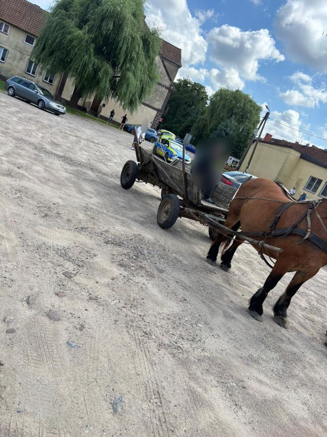 Woźnica miał blisko dwa promile we krwi. Koń zaczął cofać na drodze i spowodował kolizję z autem