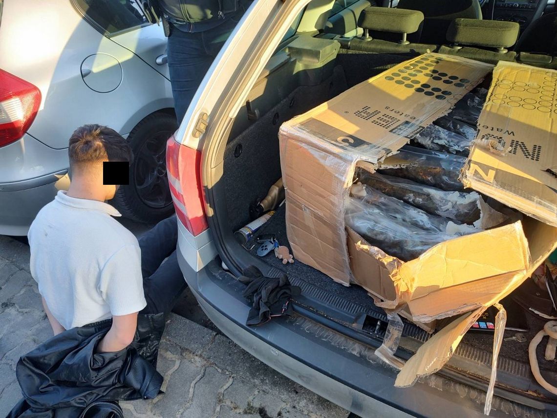 Wpadka 21-letniego dilera. W aucie 11,5 kilo marihuany, a w mieszkaniu 800 tysięcy w gotówce. WIDEO