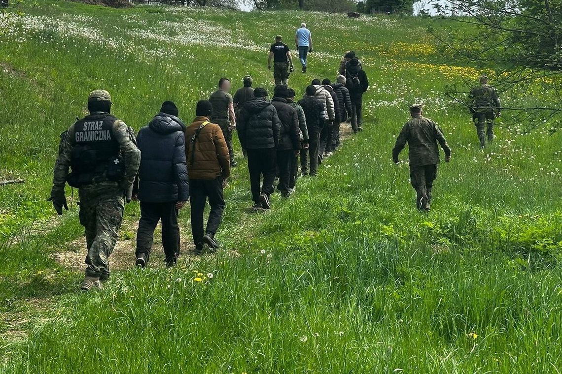 Wspólna akcja Straży Granicznej i WOT. 14 nielegalnych migrantów wpadło przy granicy z Litwą Wspólna akcja Straży Granicznej i WOT. 14 nielegalnych migrantów wpadło przy granicy z Litwą