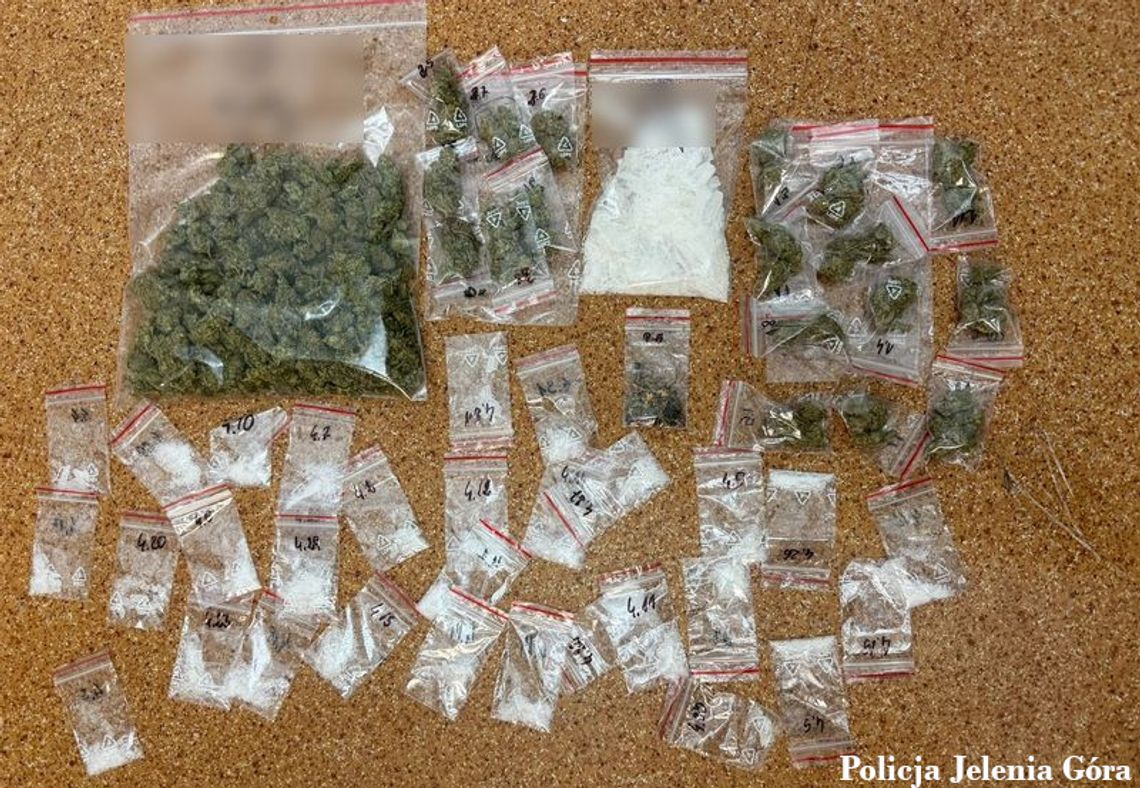 Wszedł do mieszkania i nadział się na policjantów. Miał przy sobie kilkaset porcji narkotyków Wszedł do mieszkania i nadział się na policjantów. Miał przy sobie kilkaset porcji narkotyków