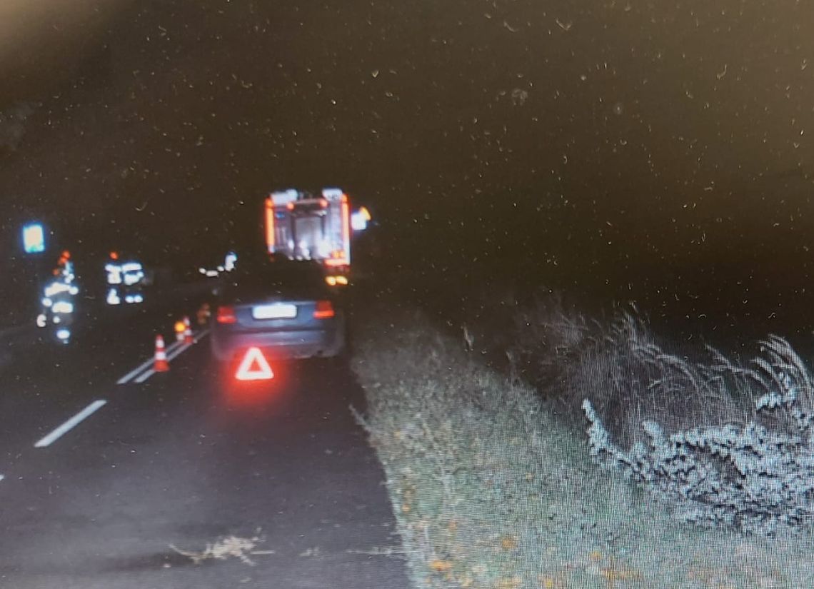 Wybiegła z auta po kolizji z łosiem. W otwarte drzwi uderzyło audi. Kobieta została ranna