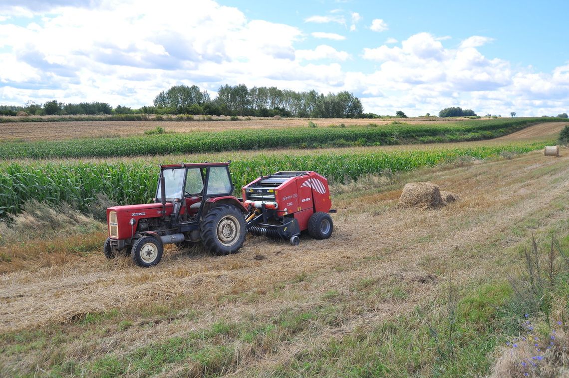 Wyjechał na pole i już nie wrócił. Zwłoki mężczyzny znaleziono w prasie rolniczej Wyjechał na pole i już nie wrócił. Zwłoki mężczyzny znaleziono w prasie rolniczej