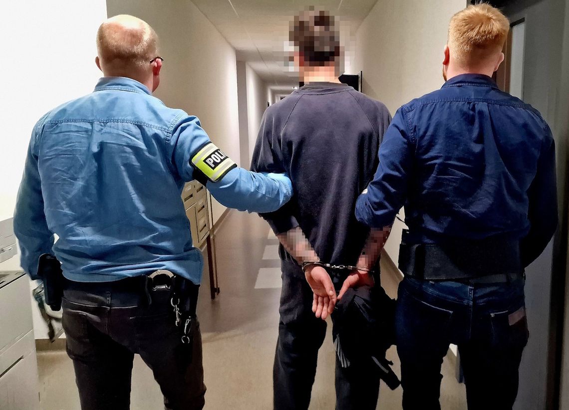 Wyprowadzał kota na smyczy. Podrzucał i kopał zwierzęciem, zareagowali świadkowie