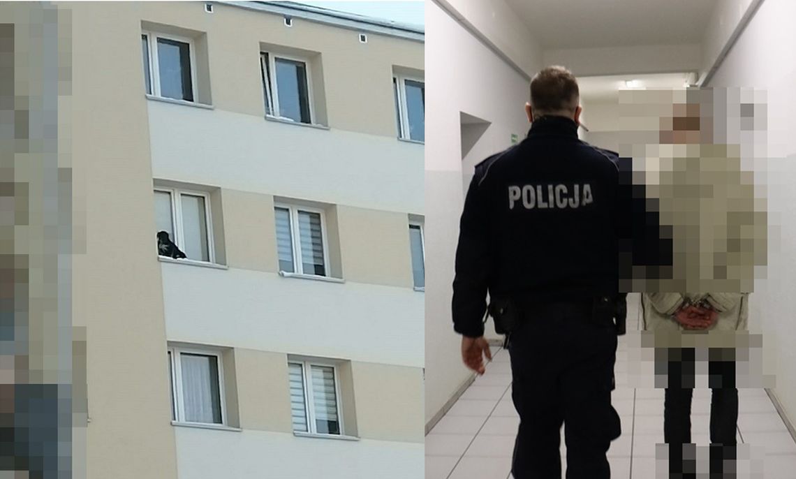 Wystawił psa na parapet na 9. piętrze i zamknął okno. Sadysta zatrzymany przez policję