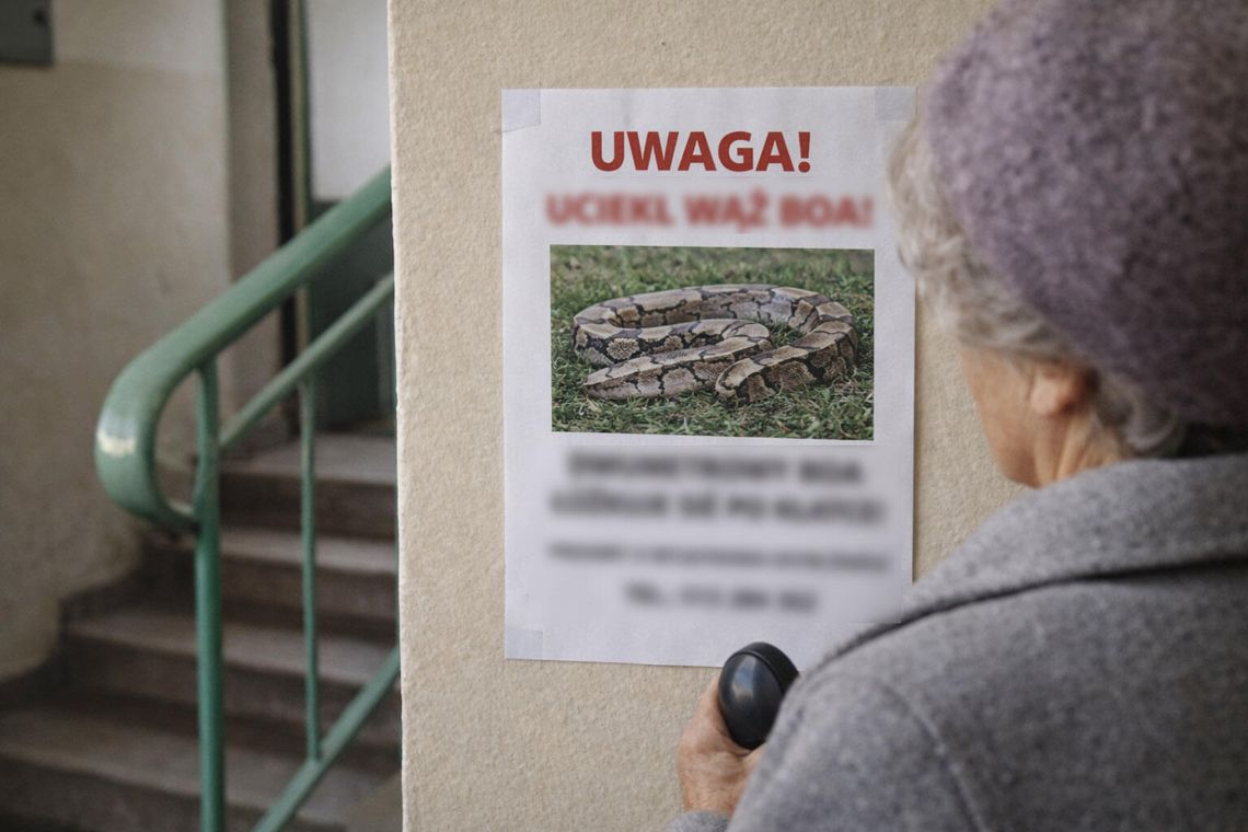 Wywiesił na klatce ogłoszenie, że uciekł mu wąż boa. Żart primaaprilisowy przestraszył ludzi