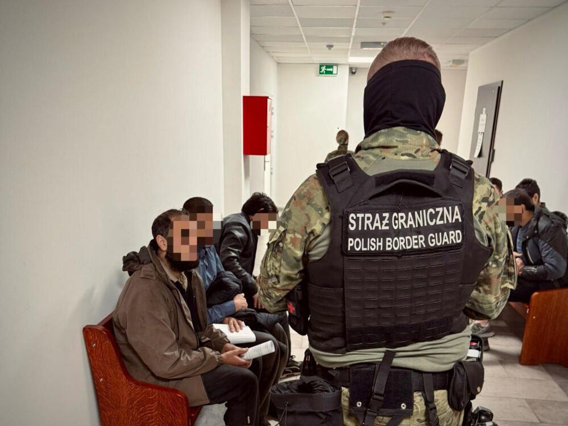 Z Białorusi przez Polskę do Niemiec. Straż Graniczna udaremniła przerzut czwórki Afgańczyków