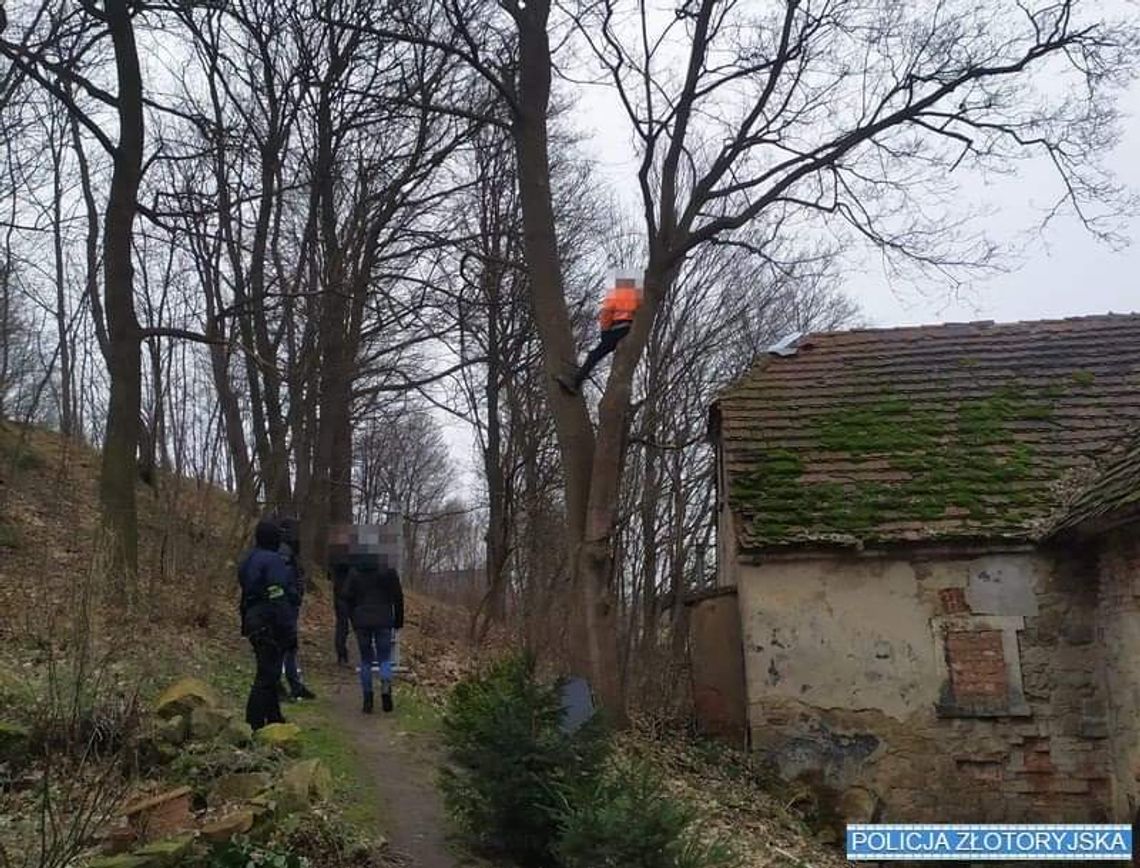 Za nic nie chciał iść do więzienia. Najpierw wszedł na dach, potem wdrapał się na drzewo