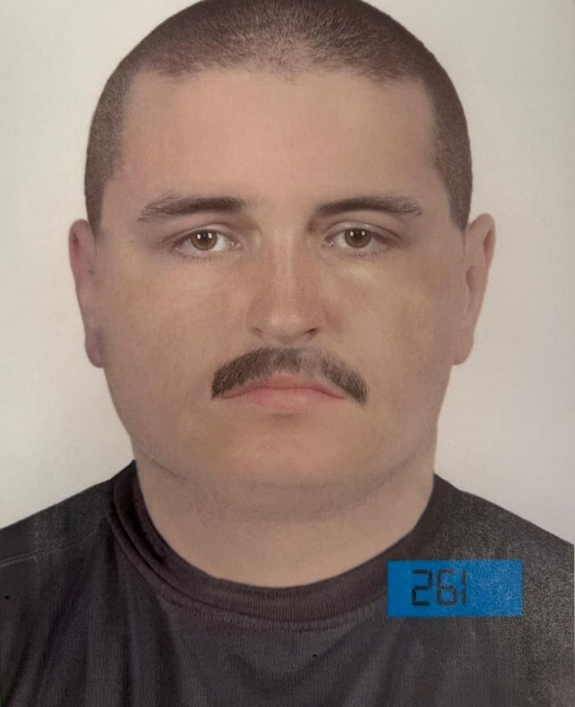 Zaatakował kobietę podczas biegania. Policja opublikowała portret pamięciowy zboczeńca