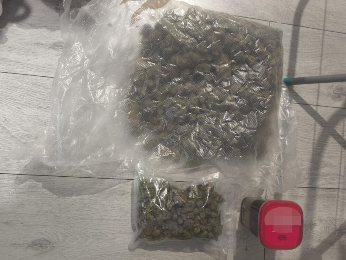 Zaczęło się od informacji operacyjnej. Policjanci znaleźli prawie 750 gramów marihuany Zaczęło się od informacji operacyjnej. Policjanci znaleźli prawie 750 gramów marihuany