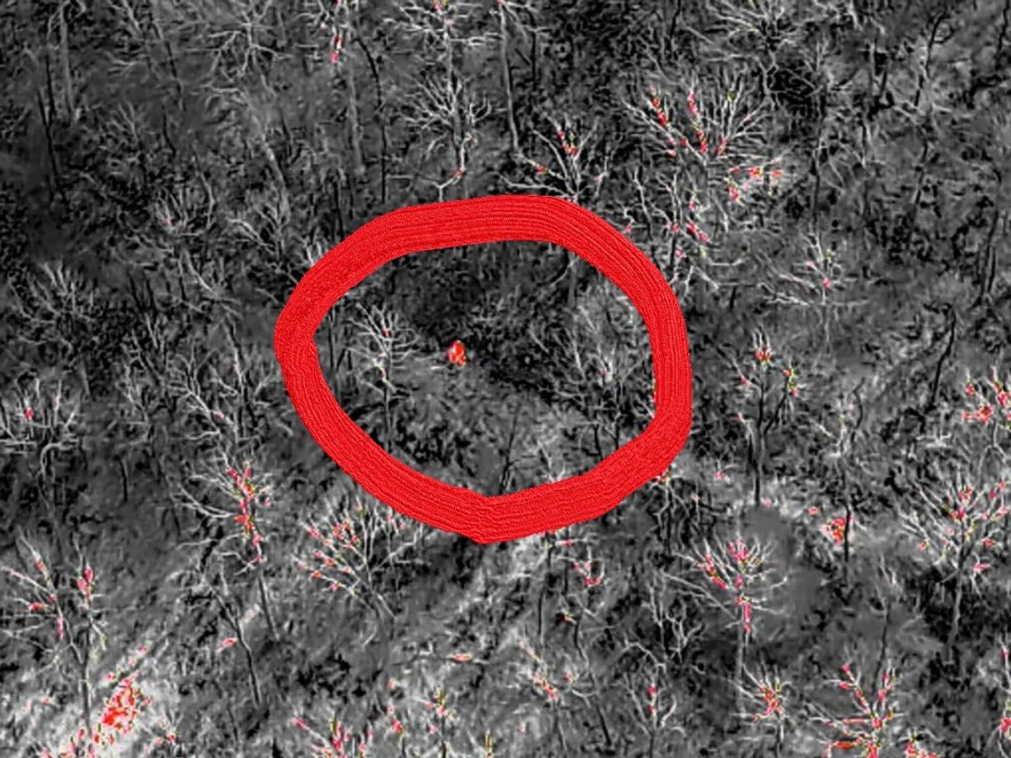 Zaginiony mężczyzna ukrywał się w lesie. Udało się go namierzyć specjalistycznym dronem