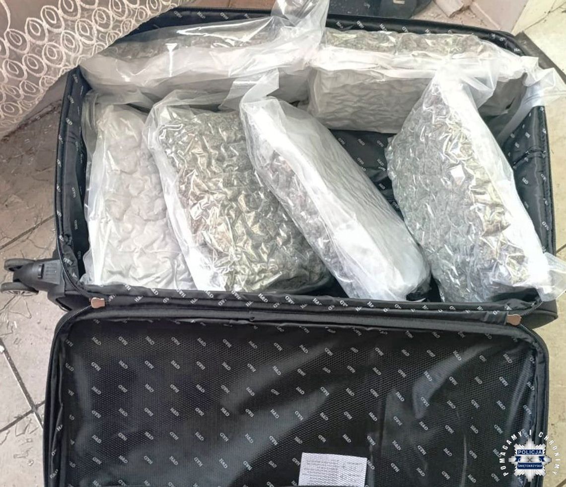 Załatwili górę towaru i właśnie wtedy wpadła policja. Zatrzymani mężczyźni trafili do aresztu