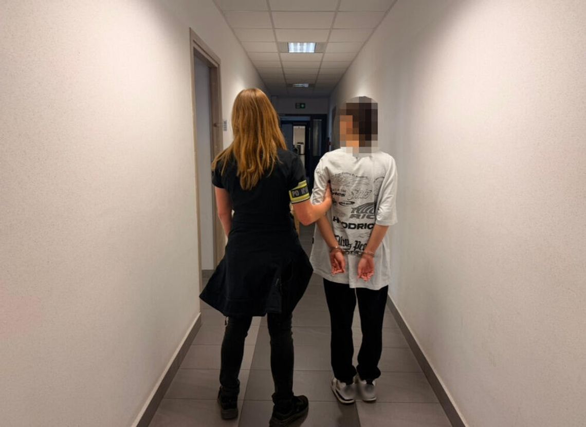 Zamawiali kurs, pryskali kierowców gazem i okradali. Zatrzymana para 20-latków