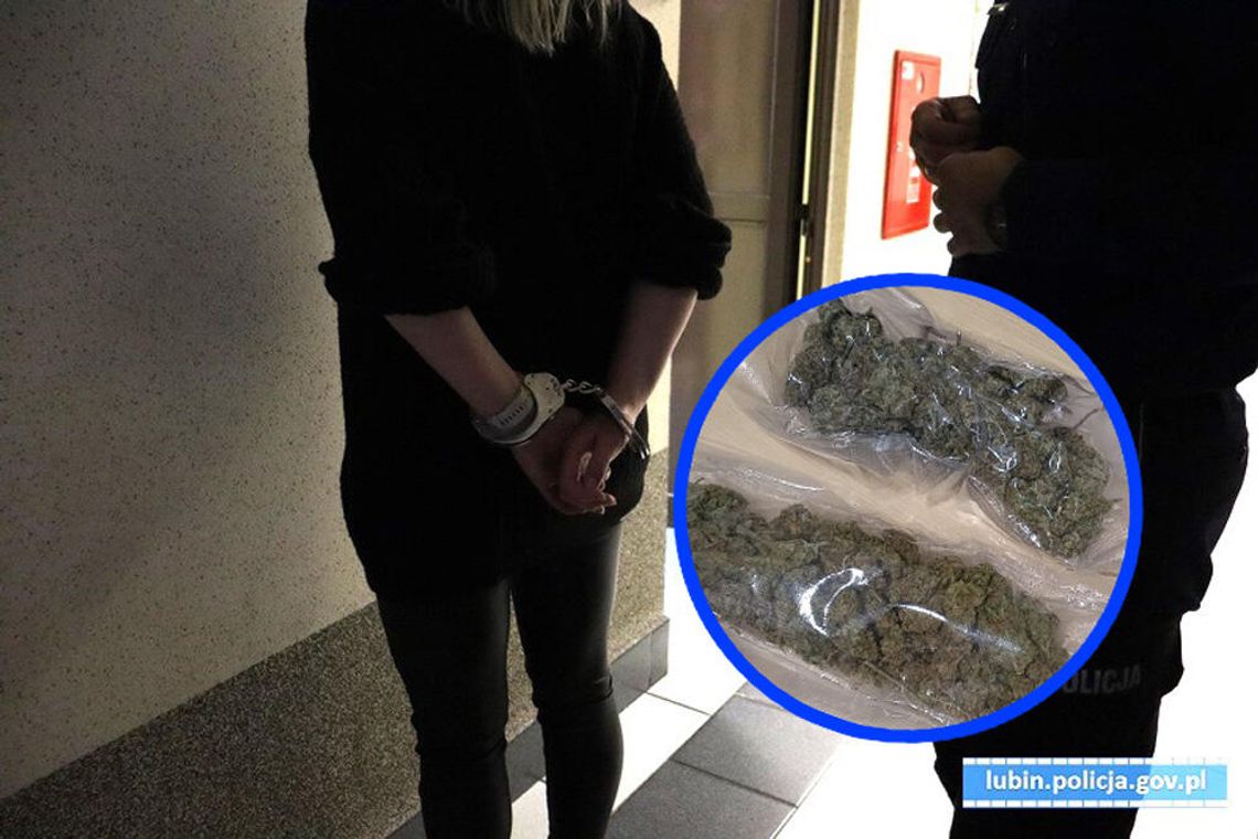 Zamiast kota w transporterze wiozła worki marihuany. Policjanci poczuli jej zapach, gdy tylko podeszli do auta Zamiast kota w transporterze wiozła worki marihuany. Policjanci poczuli jej zapach, gdy tylko podeszli do auta