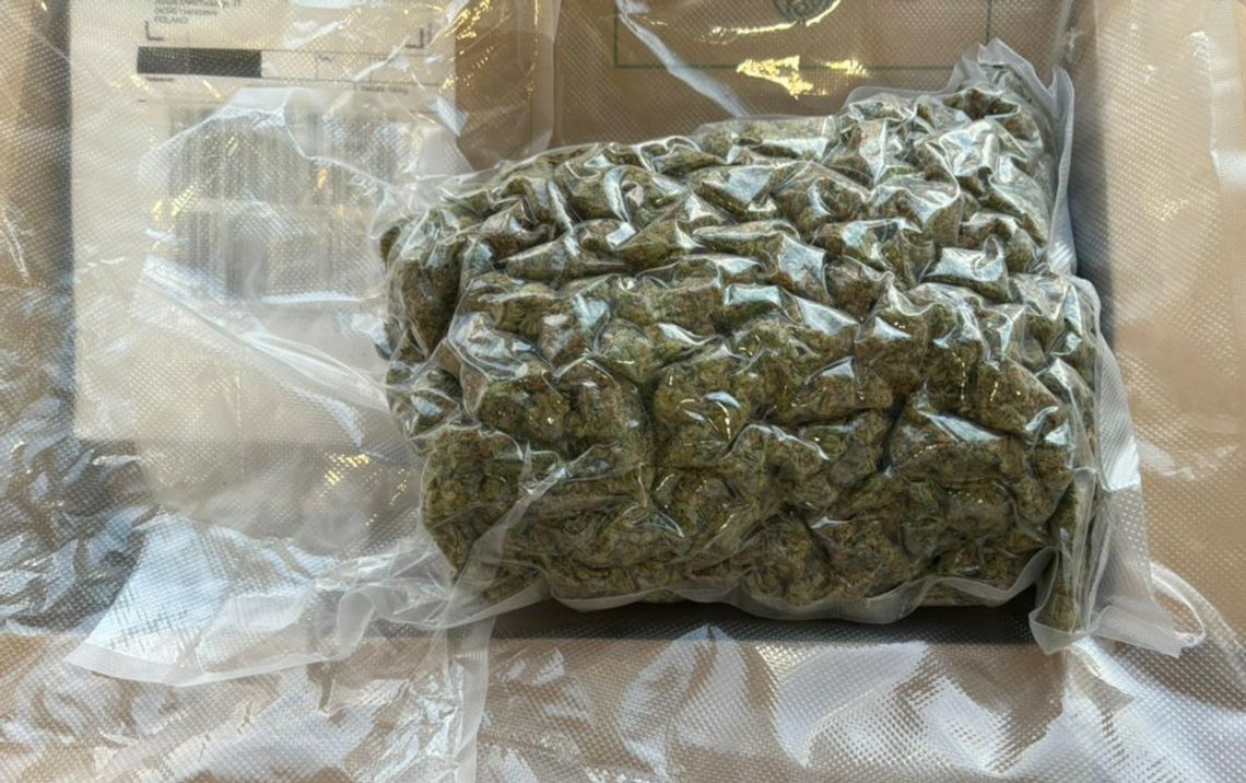 Zamówił pół kilo marihuany z Hiszpanii z dostawą do paczkomatu. Chwilę po wyjęciu towaru zatrzymali go kryminalni [FOTO]