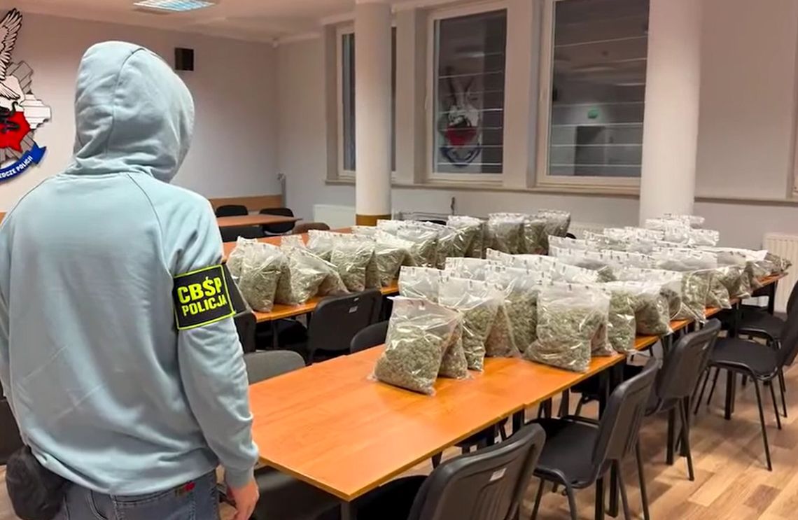 Zamówił ponad 50 kg narkotyków z Hiszpanii. Przesyłka była tak duża, że przyszła na palecie Zamówił ponad 50 kg narkotyków z Hiszpanii. Przesyłka była tak duża, że przyszła na palecie